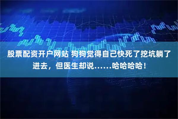 股票配资开户网站 狗狗觉得自己快死了挖坑躺了进去，但医生却说……哈哈哈哈！
